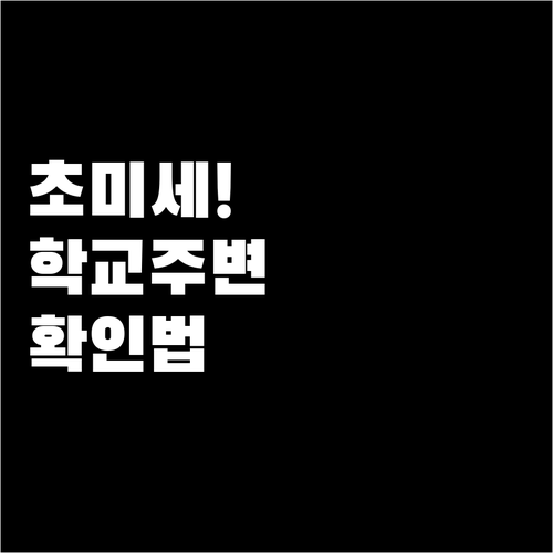초미세먼지 PM2.5 학교 주변 실시..