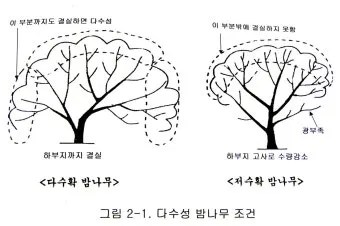 밤나무 재배 수분 수정 꽃가루 관리 해충 방제_6