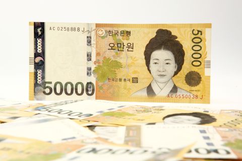 민생회복 소비쿠폰 신청 대상