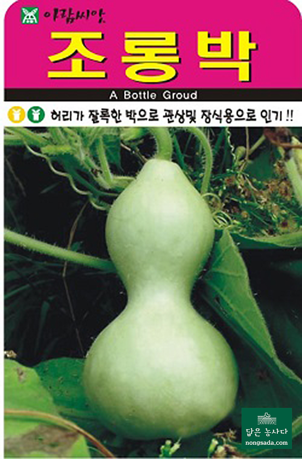 조롱박 씨앗종자: 바가지 장식용, 관상용 박