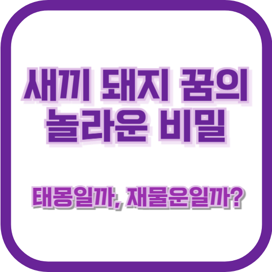 [새끼 돼지 꿈의 놀라운 비밀] 태몽일까, 재물운일까?