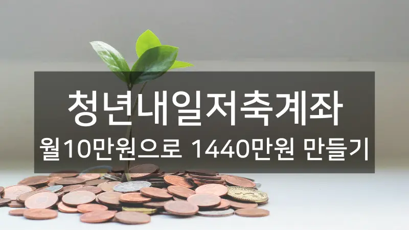 청년들의 밝은 미래를 위한 자산형성 지원 프로그램, 청년내일저축계좌