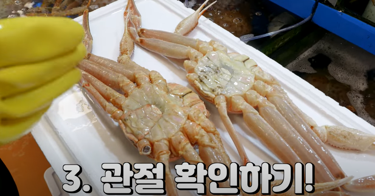 대게고르는법