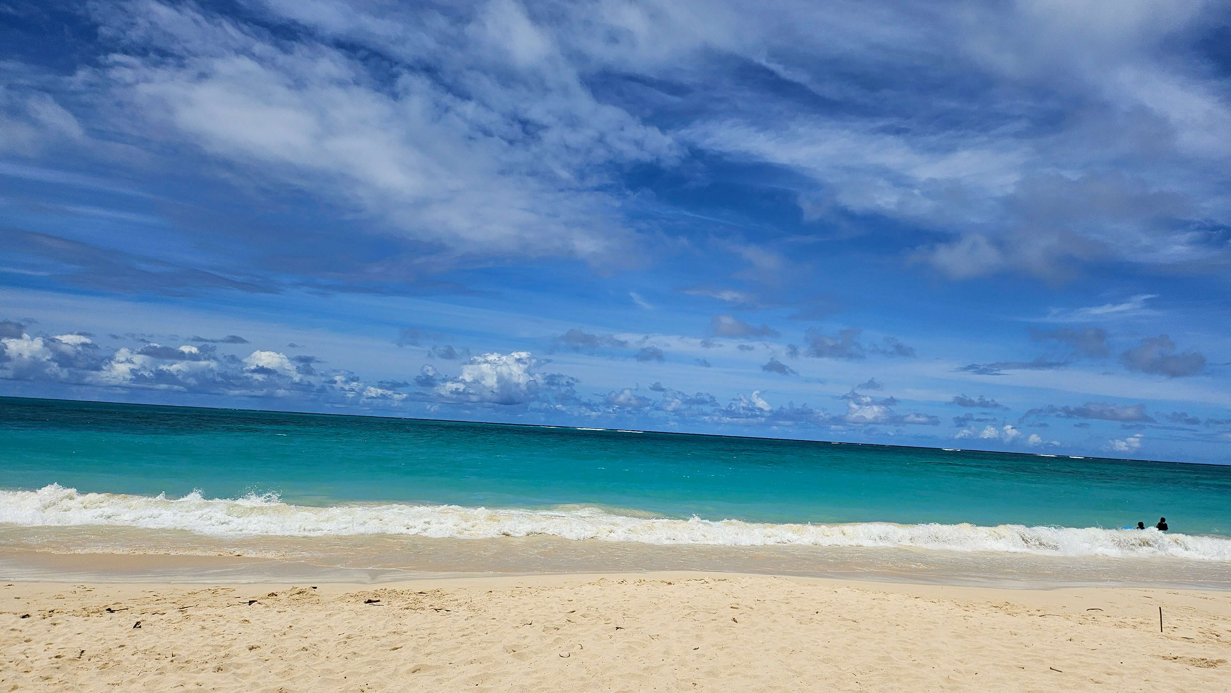 하와이노팁택시투어