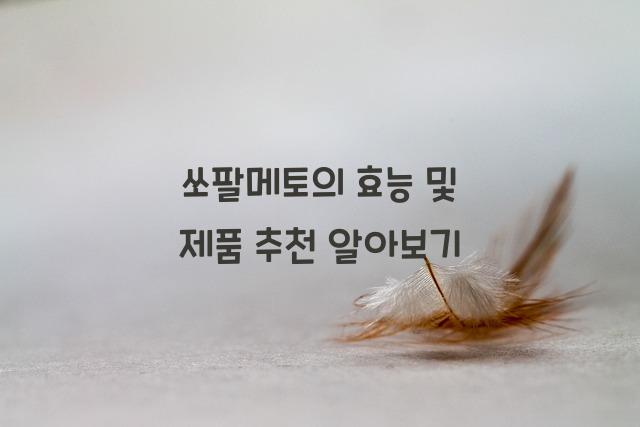쏘팔메토의 효능 및 제품 추천