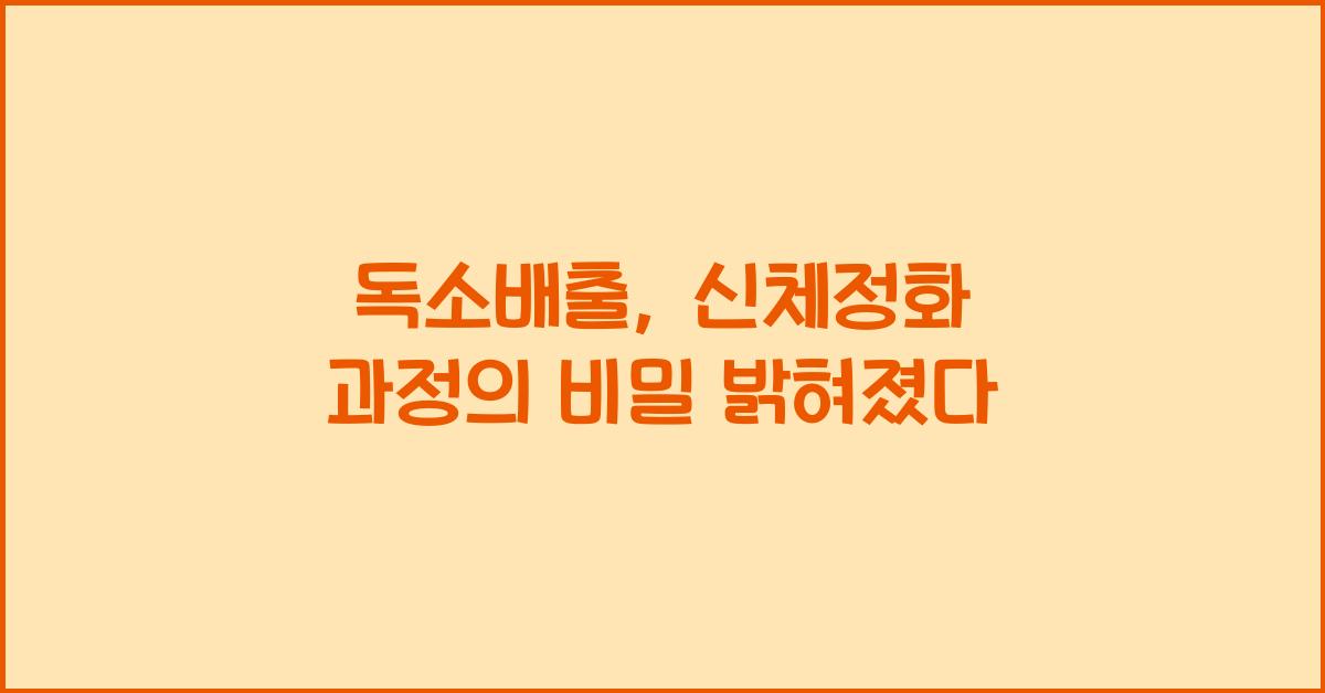 독소배출, 신체정화 과정