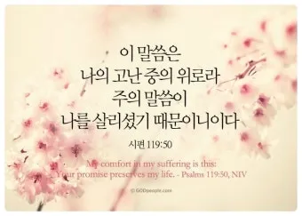 마음에 위로를 주는 말씀 모음 리스트 100선_19