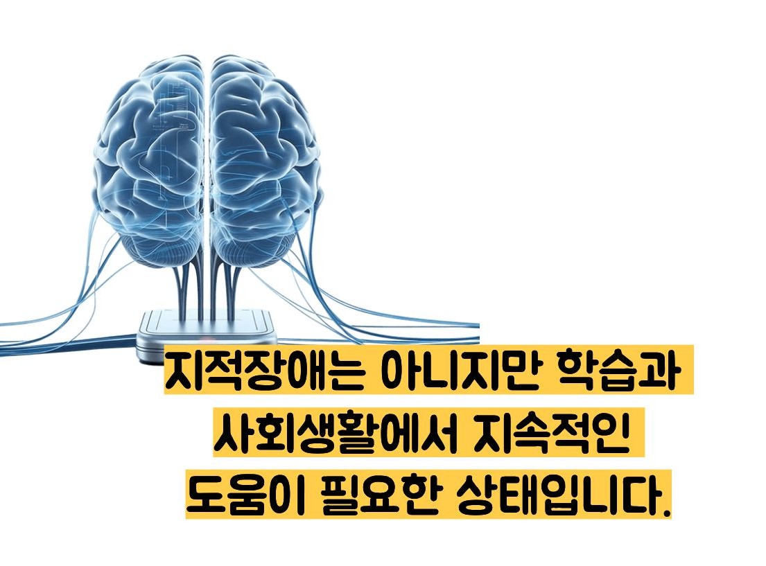 경계성 지능장애란