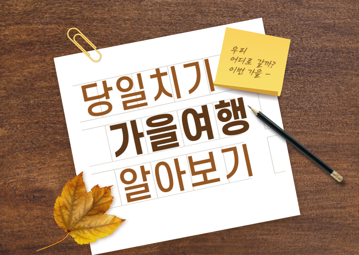 당일치기 가을여행