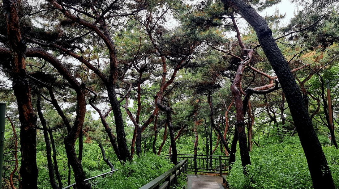 용왕산근린공원 이미지