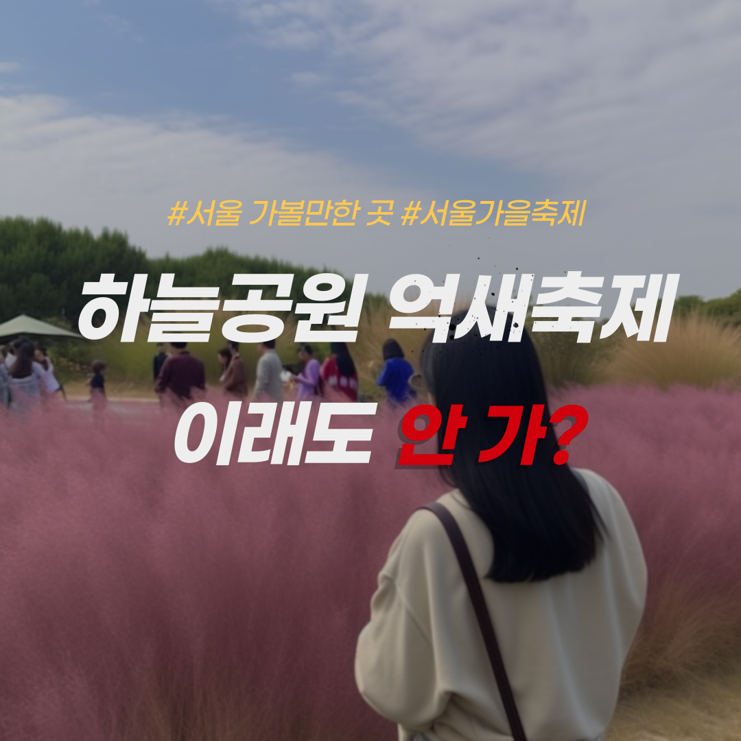 하늘공원-억새축제