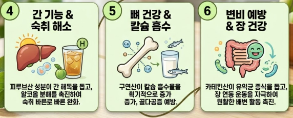 매실액기스 효능