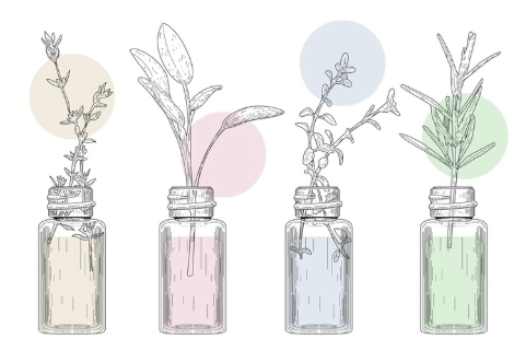 다이어트에 도움이 되는 에센셜 오일의 종류와 효능, 활용법