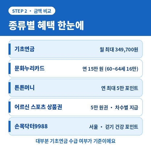 기초연금 문화누리카드 튼튼머니 등 시니어복지포인트 종류별 금액 비교