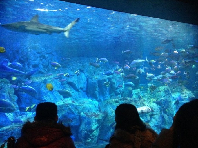일본 후쿠오카 자유여행 TOP 9 : 벳푸 여행&amp;#44; 아이와 가볼만한 곳