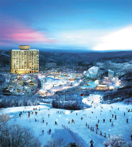 하이원 리조트 스키 타는 모습