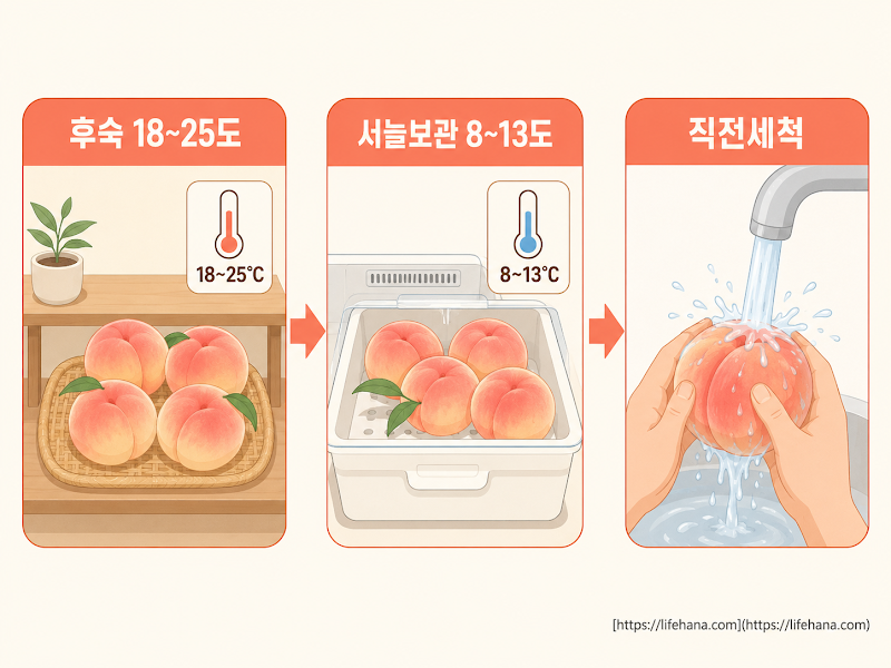제대로 먹고 보관하는 법