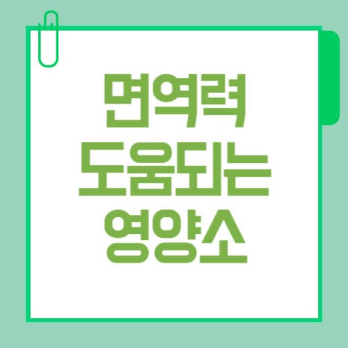 면역력에 도움되는 영양소 정리, 비타민부터 유산균까지 비교해봤어요