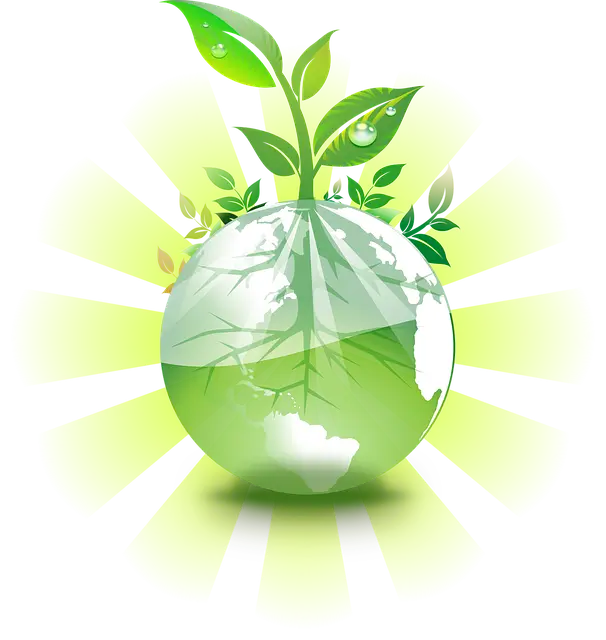 STEAM 교육과 제로웨이스트, 한 번에 두 가지를 잡는 융합 수업 설계법