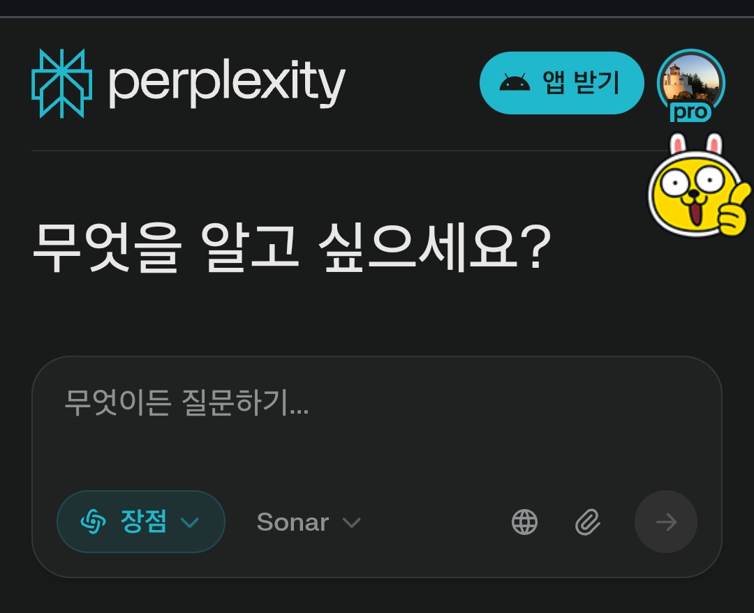 퍼플렉시티 프로 전환 완료 화면