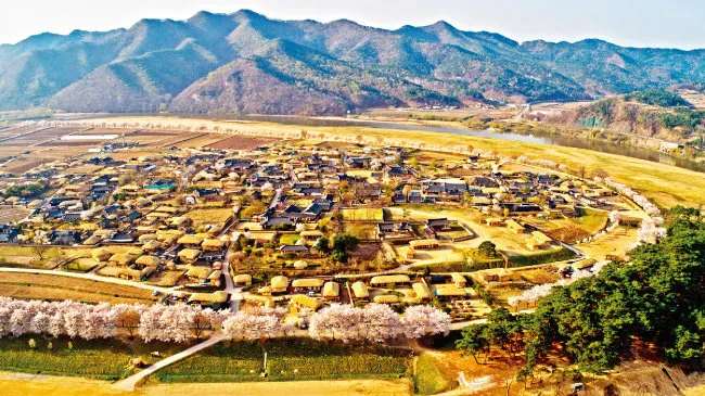 안동 맛집 베스트10 방송 출연 블루리본 맛집_6