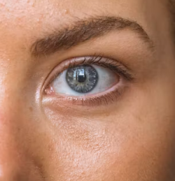 공심채 효능 부작용 고르는법 칼로리 다연채 모닝글로리