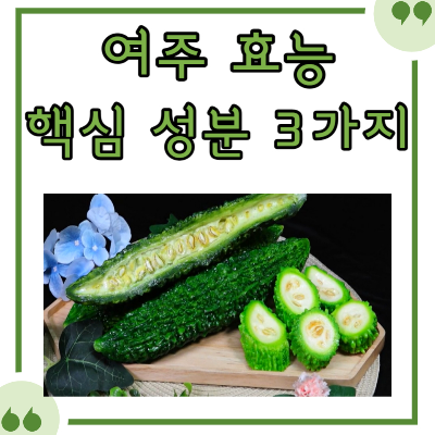 여주 효능