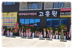 고흥원