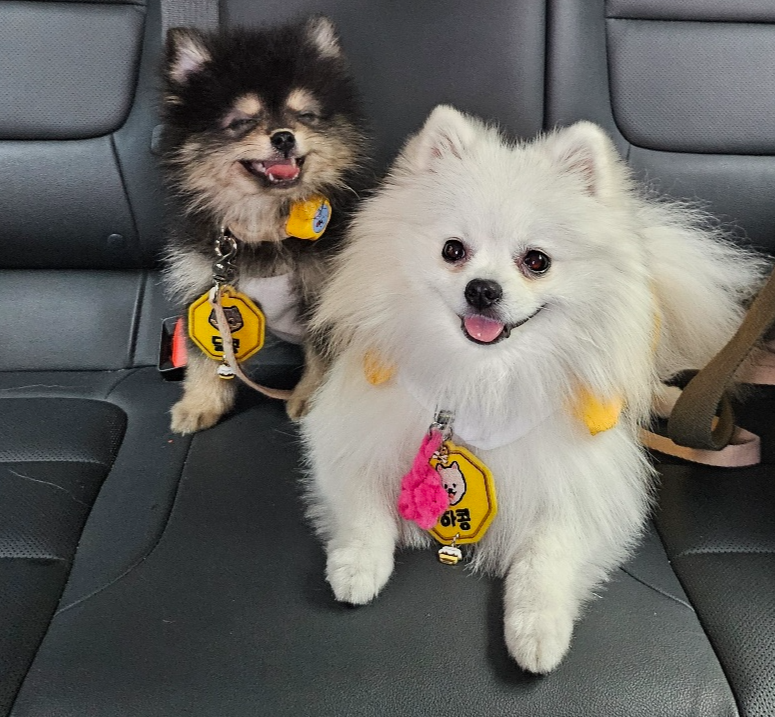 행복한 하콩&amp;달콩