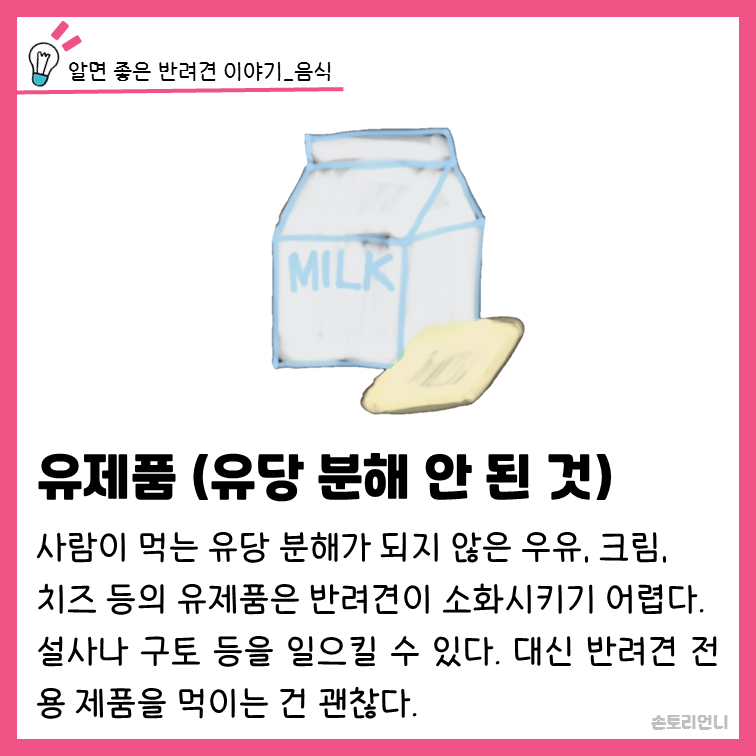 유당 분해 안 된 유제품