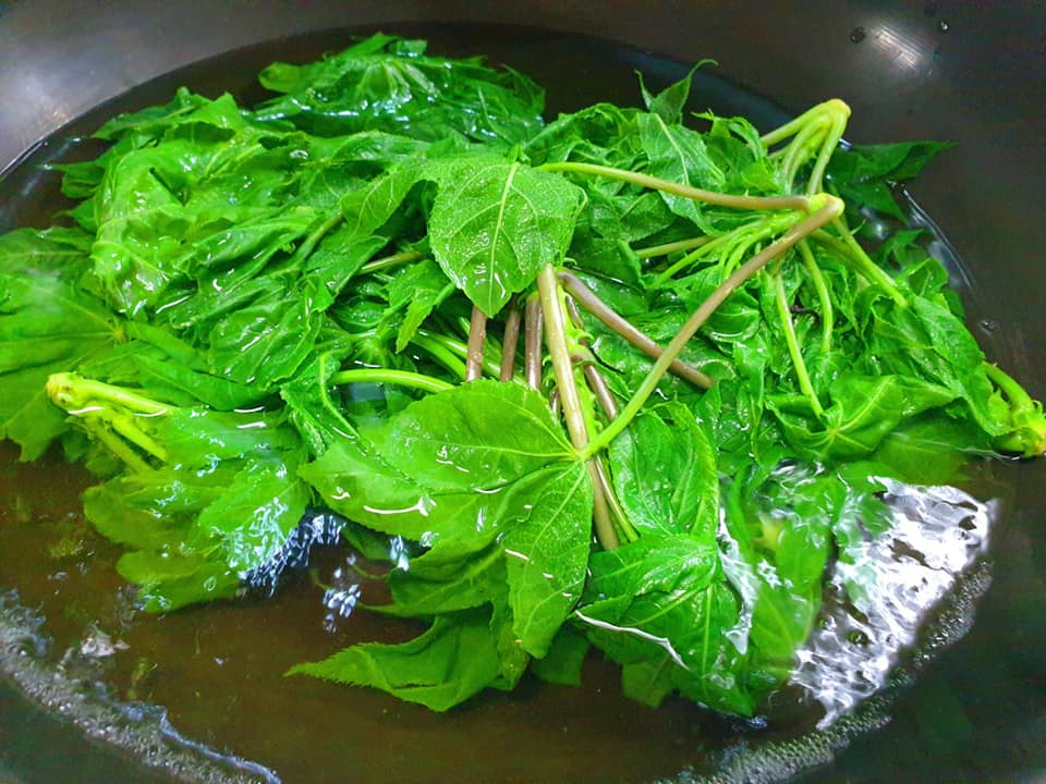 채소 속 옥살산, 정말 우리 건강에 해로울까?