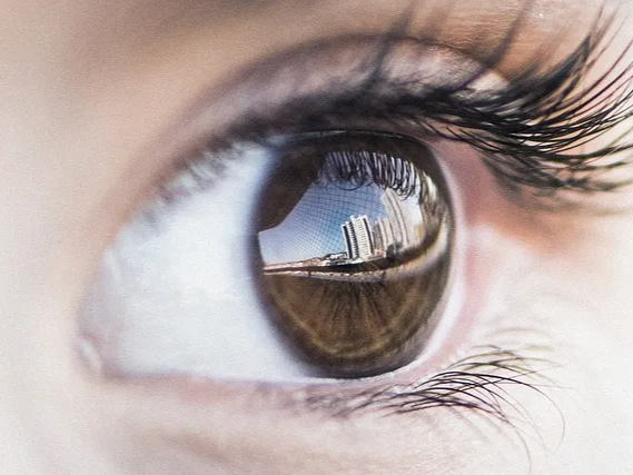 구기자 제아잔틴 풍부