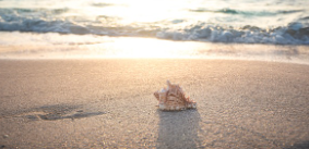 근로자 휴가지원사업 휴가샵 전용 온라인몰