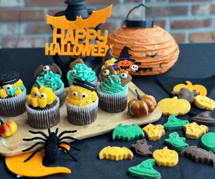 나우쿠킹스튜디오