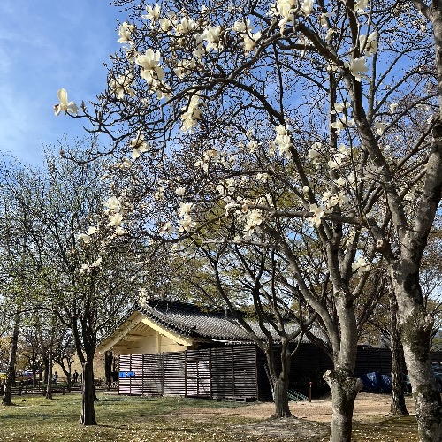 경주 명소