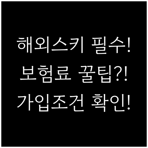 해외 스키장 여행 필수! AXA다이렉..