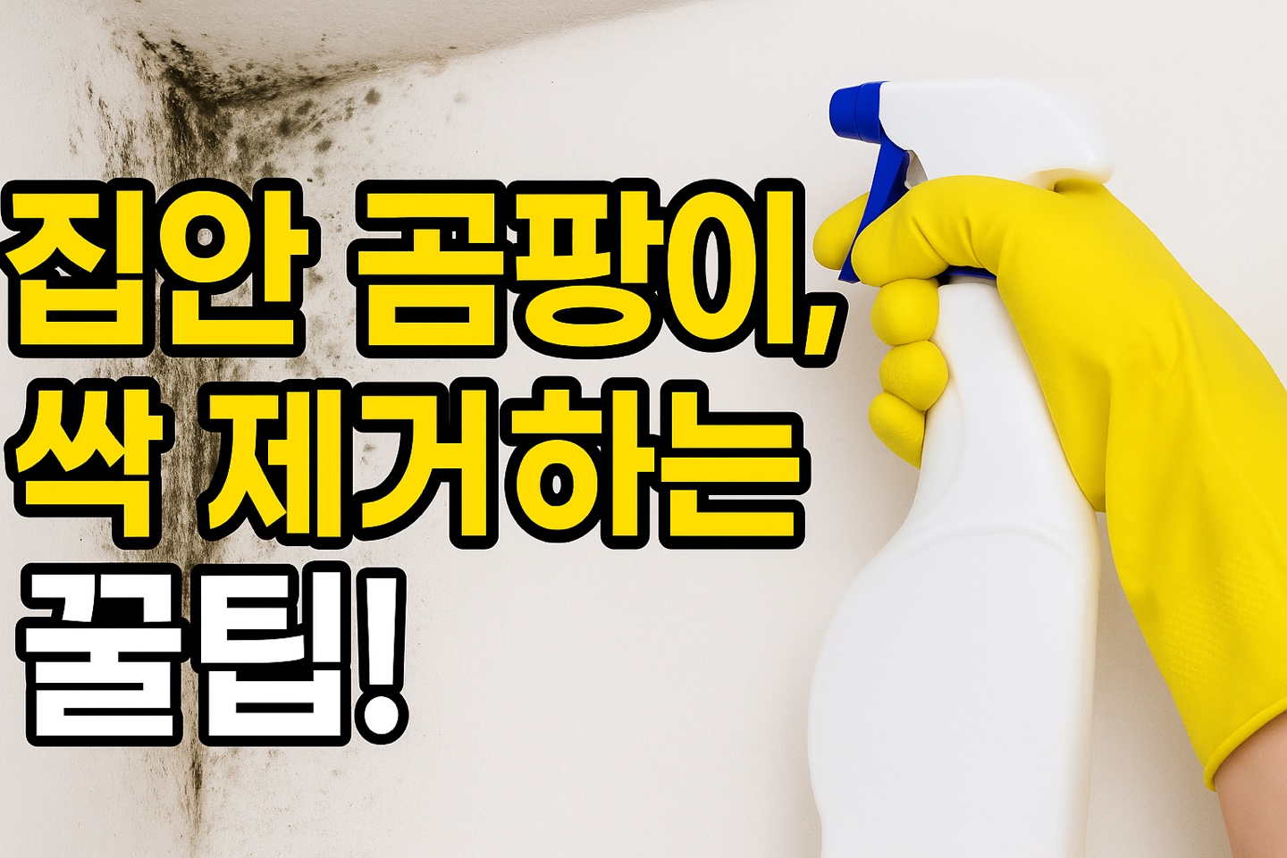 곰팡이 제거법