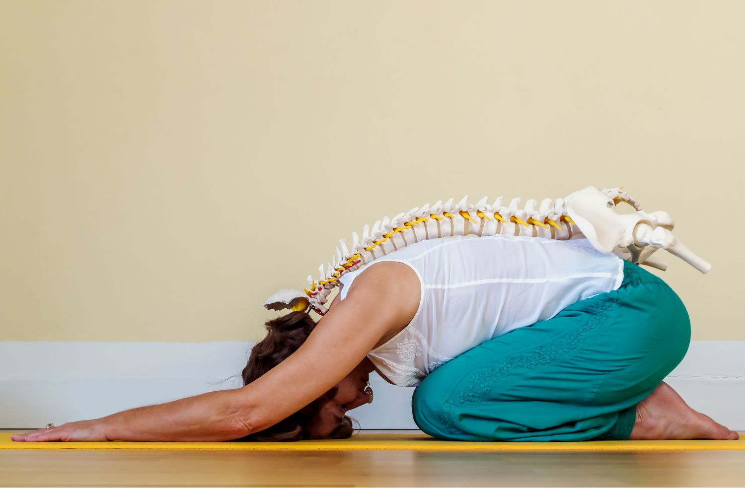 척추관 협착증 치료