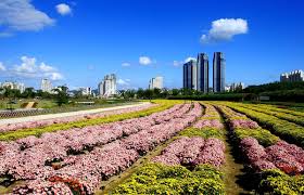 2025 불후의 명곡 록 페스티벌 in 울산 티저 기본정보 주변관광지 