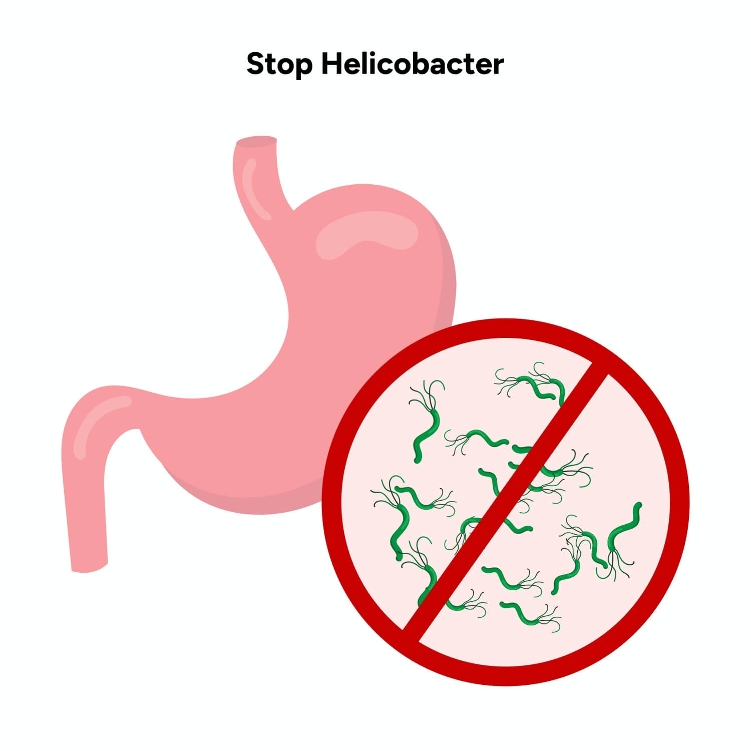 위-속에-존재하는-헬리코박터균