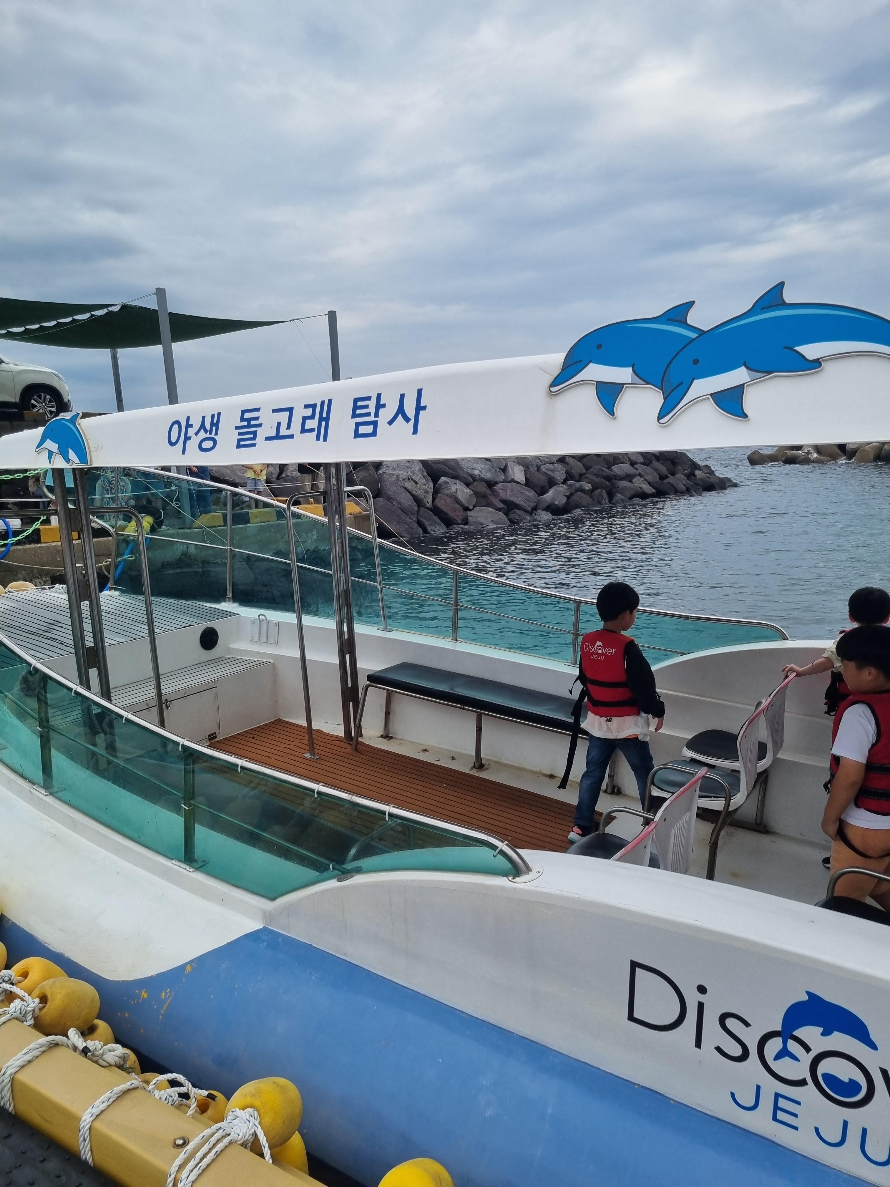 제주돌고래 힐링투어