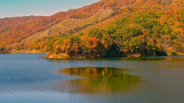 가족과 함께 귀산촌, 현실은 어떨까? – 가족 단위 이주 시 체크리스트