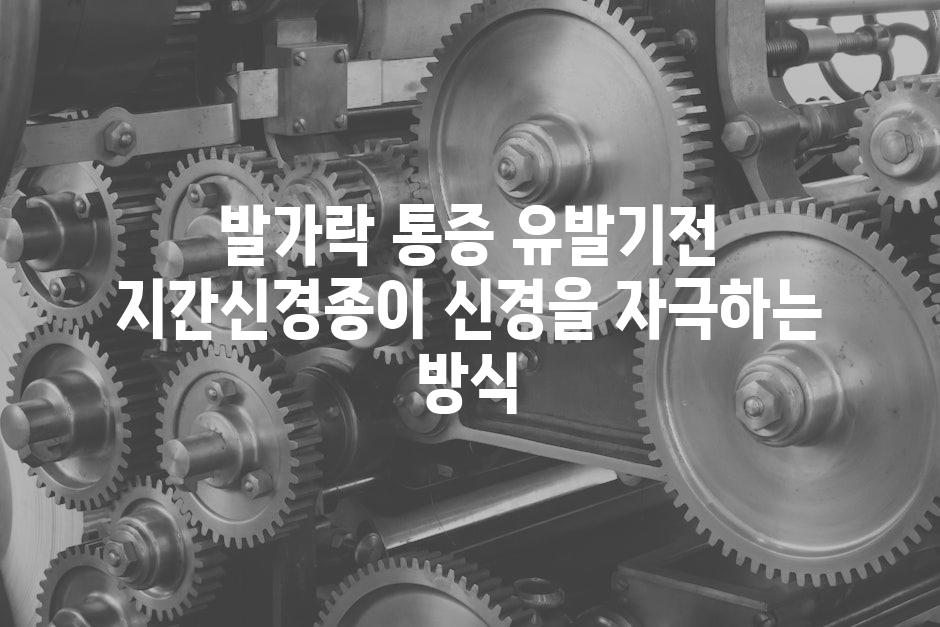 발가락 통증 유발기전 지간신경종이 신경을 자극하는 방식