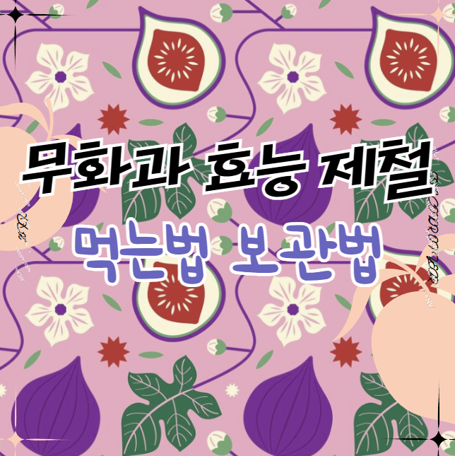 무화과 효능, 제철, 먹는 법 및 보관 방법 썸네일