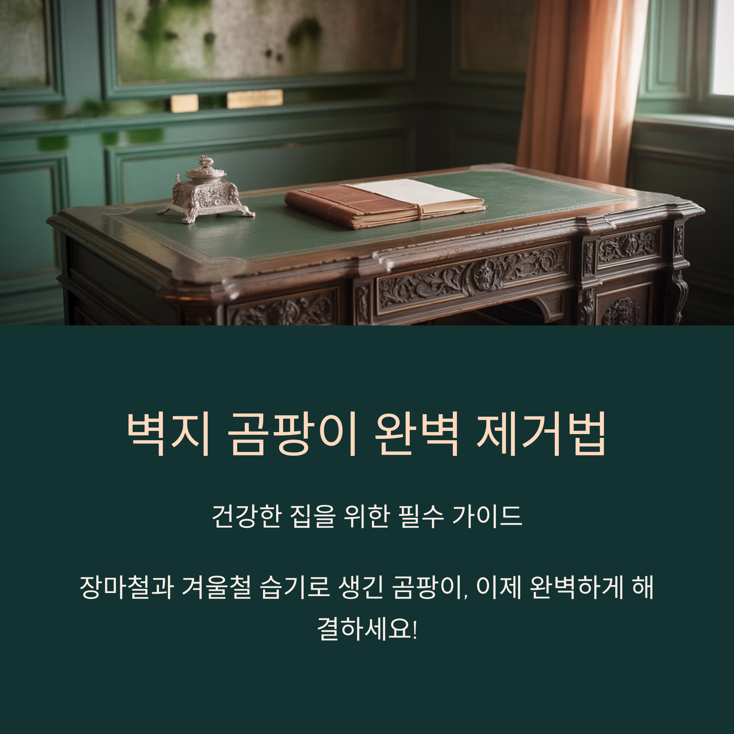 벽지 곰팡이 완벽 제거하는 법