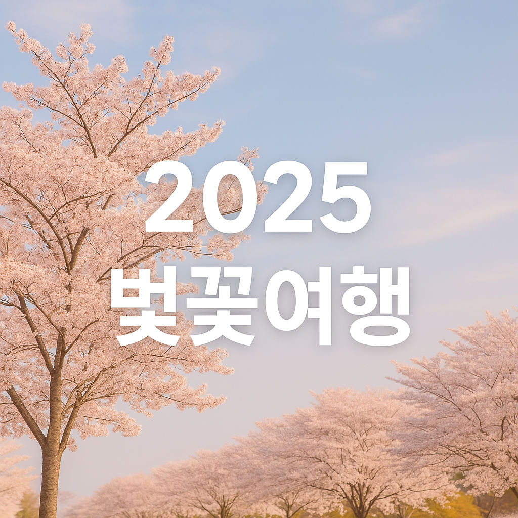 벚꽃여행