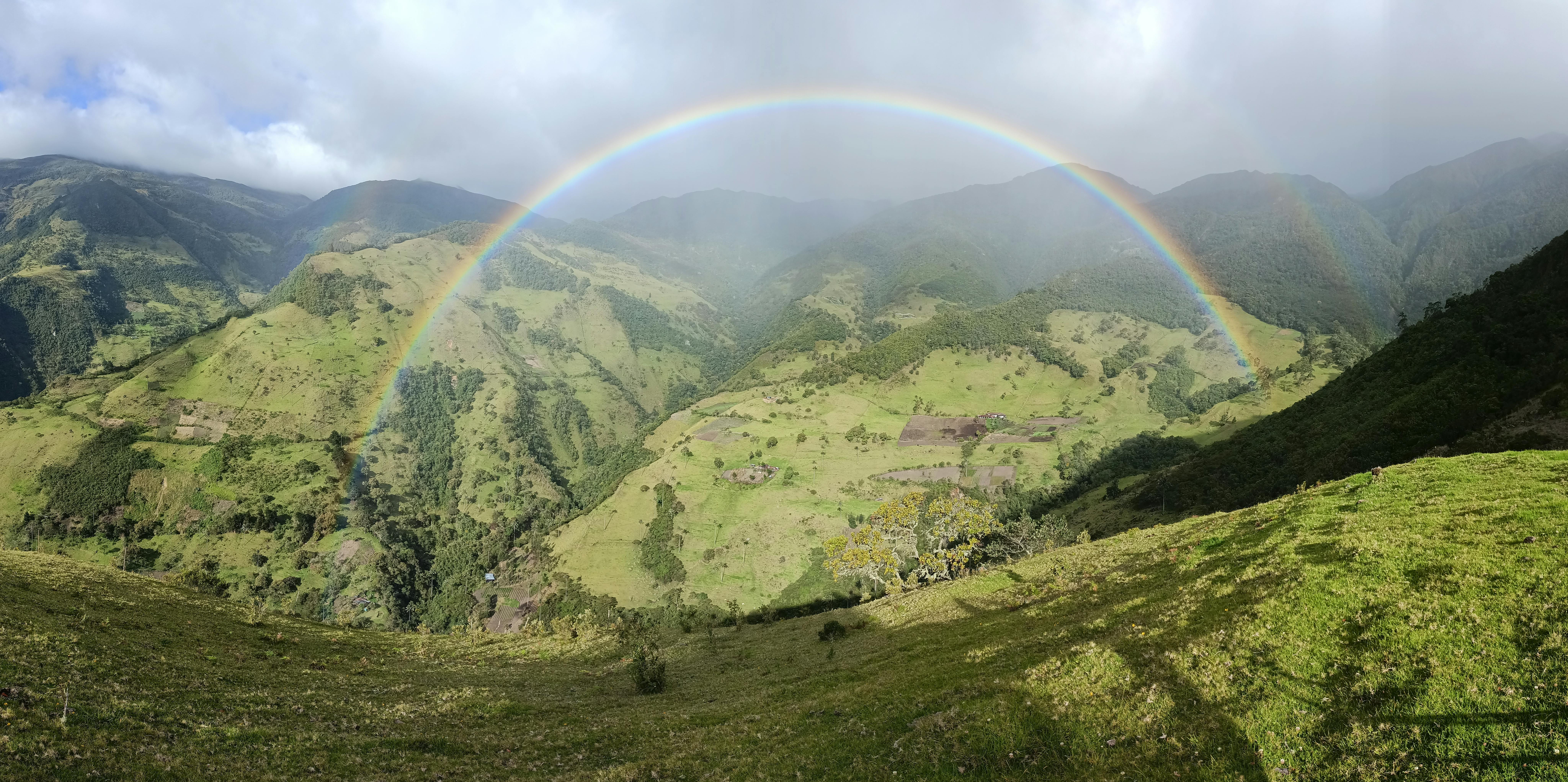 몸이 마비된 듯한을 상징하는 이미지