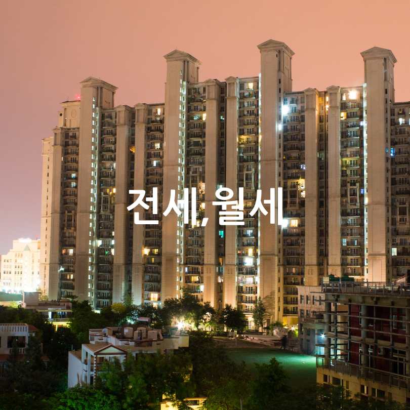 전세사기 예방법