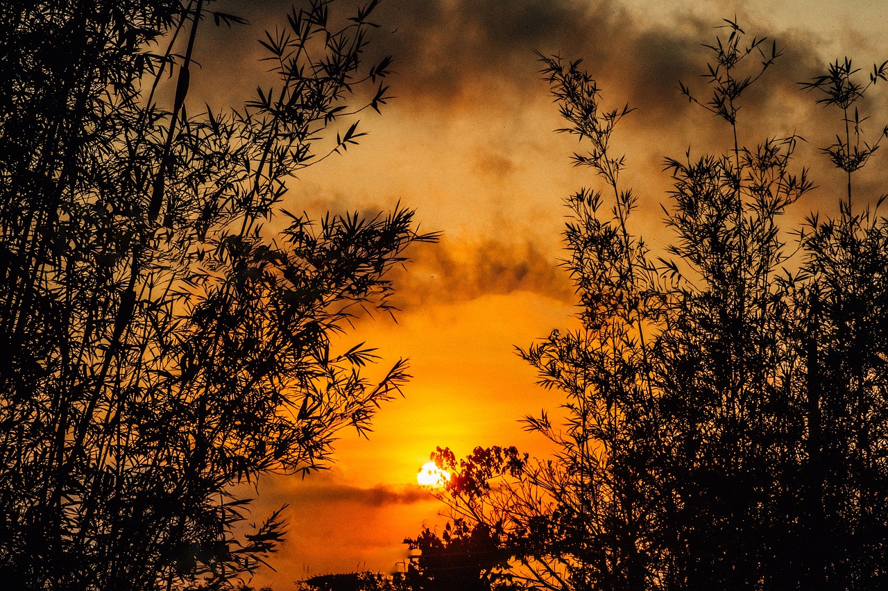 다낭 숙소 고민 끝! 가격부터 스타일까지 완벽 분석 & 추천