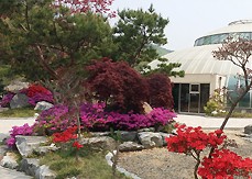 용인 아이와 가볼만한 곳 동천자연식물원